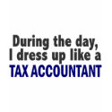 During The Day I Dress Up Like A Tax Accountant t-shirts
