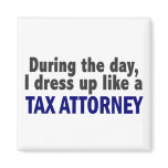 During The Day I Dress Up Like A Tax Attorney