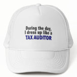 During The Day I Dress Up Like A Tax Auditor