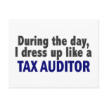 During The Day I Dress Up Like A Tax Auditor