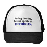 During The Day I Dress Up Like An Historian Mesh Hats