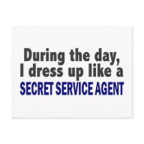 During The Day I Dress Up Secret Service Agent