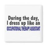 During The Day Occupational Therapy Assistant