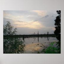 Dusk on the Bayou Print