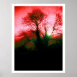 Dusk till Dawn Print