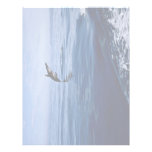 Dusky dolphins, side view, nose dive letterhead template