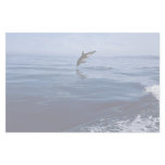 Dusky dolphins, side view, nose dive stationery design