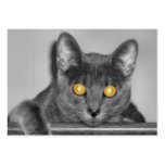 Dusky Gold Bookmarks Business Card