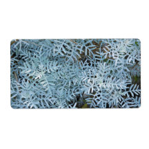 Dusty Miller Senecio Viravira Jardin des Plantes Custom Shipping Label