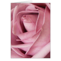 Dusty Pink Rose Greeting Cards