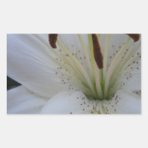 Dusty White Lily Rectangular Sticker