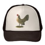 Dutch Bantam:  Blue Quail Hen Mesh Hats