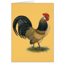 Dutch Bantam:  Blue Quail Rooster