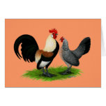 Dutch Bantams:  Cream Light Brown Greeting Cards