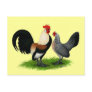 Dutch Bantams:  Cream Light Brown Post Card