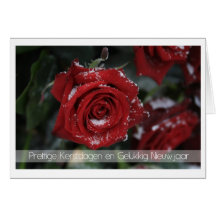 dutch Merry Christmas-Happy New Year snowy red ros Card