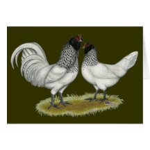 Dutch Owl Beard Chickens Cards