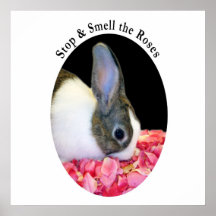 Dutch rabbit roses poster
