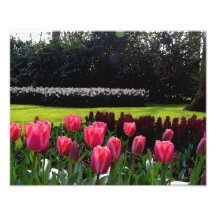 Dutch Treat, 11 x 14 Print Art Photo