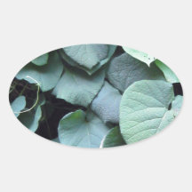 Dutchman's Pipe leaves Oval Stickers