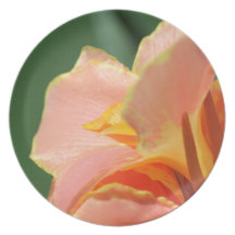 Dwarf Canna Lily named Corsica Party Plates
