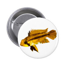 Dwarf Cichlid Pins