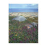 Dwarf fireweed, Hudson Bay, NWT, Canada Postcards