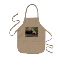 dwarf  mushroom house aprons