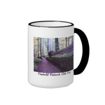 Dyerville Giant- Humboldt Redwoods State Park Coffee Mug