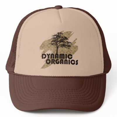 Dynamic Organics Hat by cthomas562