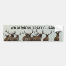 E0017 Bull Elk Bumper Sticker