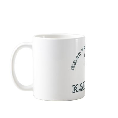 E.V.U. Manatees Mug by stlewis75