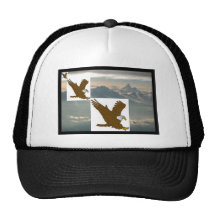 eagels mesh hats