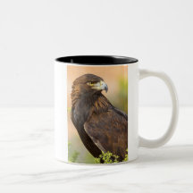 Eagle - 11oz. Mug