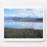eagle alaska mouse pads