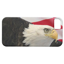 Eagle and Flag iPhone 5 Cover