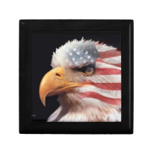 eagle box gift box