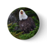 eagle pinback button