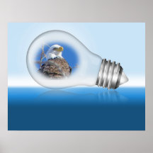Eagle chauve dans l'ampoule affiches