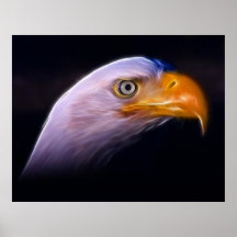 Eagle chauve patriotique américain, symbole nation affiches