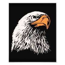 Eagle chauve patriotique photographies d’art
