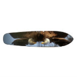 Eagle - Customized Skateboard