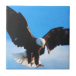 Eagle en vol carreaux