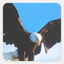 Eagle en vol sticker carré