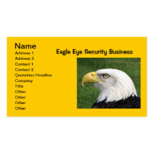 Eagle Eye Security Business Card