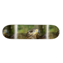 Eagle Eye  Skateboard
