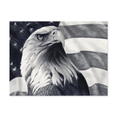 Eagle & Flag Postcard by DrawingsbyKDM