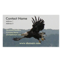 Eagle Flight Business Card