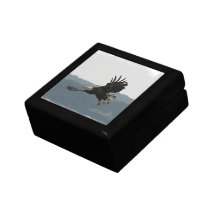 Eagle Flight Gift Box