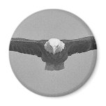 Eagle head-on black & white refrigerator magnet